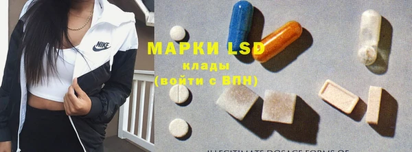 прущие грибы Михайловск