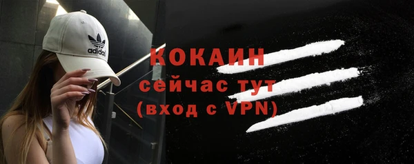 ГАЛЛЮЦИНОГЕННЫЕ ГРИБЫ Сосновка