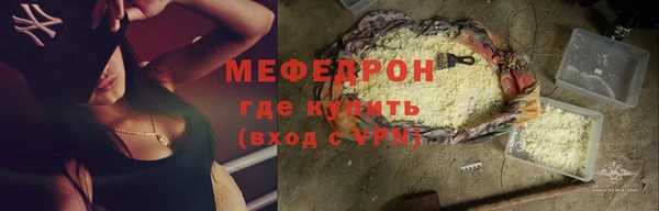 индика Бронницы