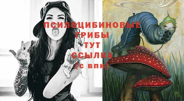 дживик Михайлов