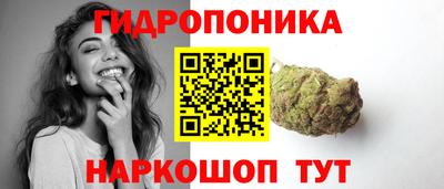 крисы Балаково