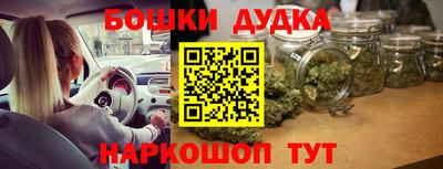 крисы Балаково