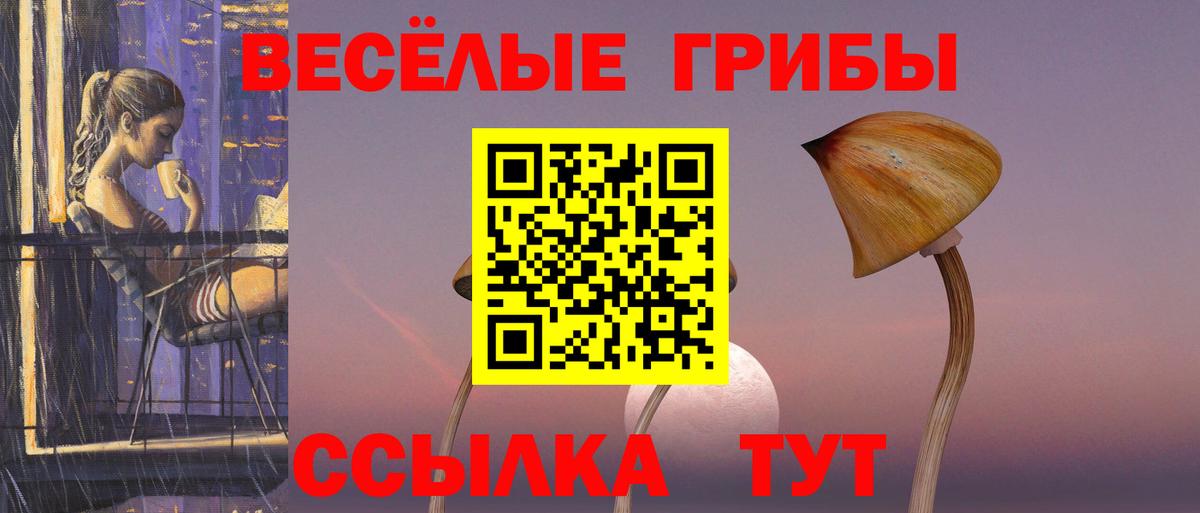 Галлюциногенные грибы прущие грибы  Псилоцибиновые грибы Cubensis  Железногорск  Вход с VPN 